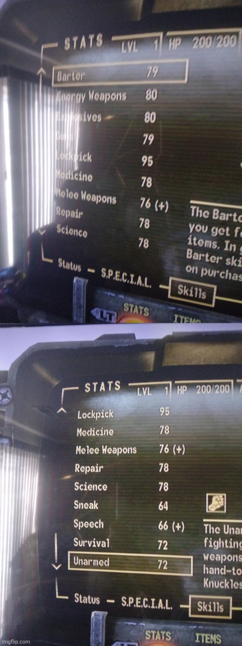 first time playing New Vegas, i think i should have picked better stats tbh | made w/ Imgflip meme maker