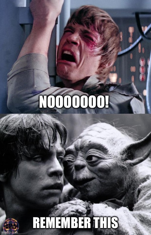 REMEMBER THIS NOOOOOOO! | image tagged in luke nooooo,yoda luke | made w/ Imgflip meme maker