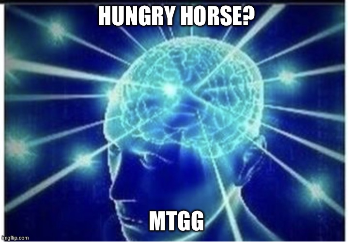 Exploding brain 1 panel | HUNGRY HORSE? MTGG | image tagged in exploding brain 1 panel | made w/ Imgflip meme maker
