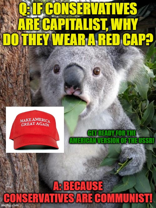 Surprised Koala Meme | Q: IF CONSERVATIVES ARE CAPITALIST, WHY DO THEY WEAR A RED CAP? GET READY FOR THE AMERICAN VERSION OF THE USSR! A: BECAUSE CONSERVATIVES ARE COMMUNIST! | image tagged in memes,surprised koala | made w/ Imgflip meme maker