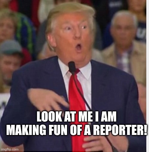 Donald Trump tho | LOOK AT ME I AM MAKING FUN OF A REPORTER! | image tagged in donald trump tho | made w/ Imgflip meme maker