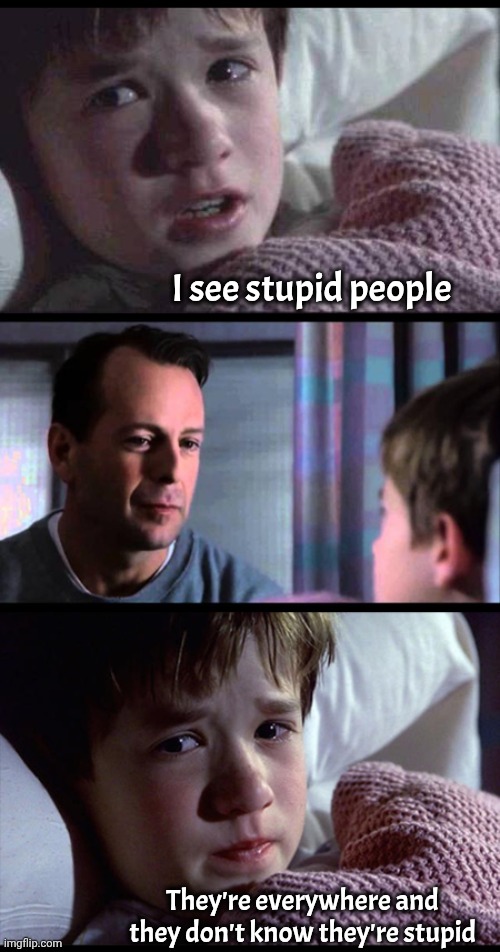I see stupid people They're everywhere and they don't know they're stupid | image tagged in i see dead people 3-frame | made w/ Imgflip meme maker