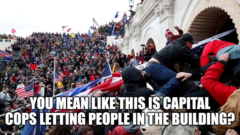 Capitol Terrorists | YOU MEAN LIKE THIS IS CAPITAL COPS LETTING PEOPLE IN THE BUILDING? | image tagged in capitol terrorists | made w/ Imgflip meme maker