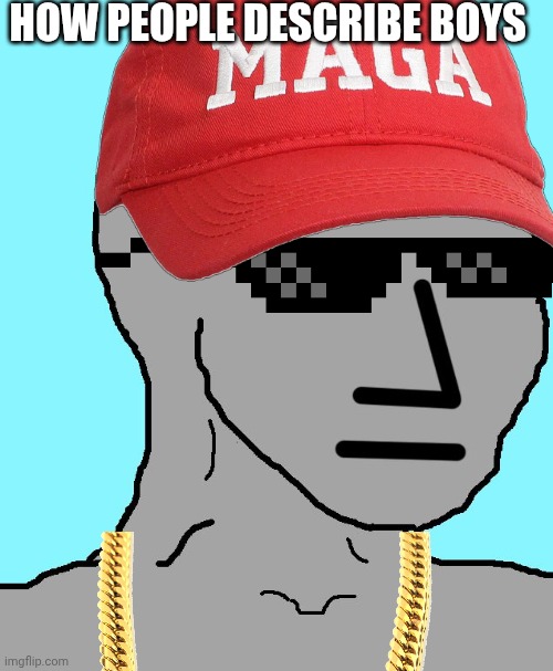 Cool stuff | HOW PEOPLE DESCRIBE BOYS | image tagged in memes,npc | made w/ Imgflip meme maker