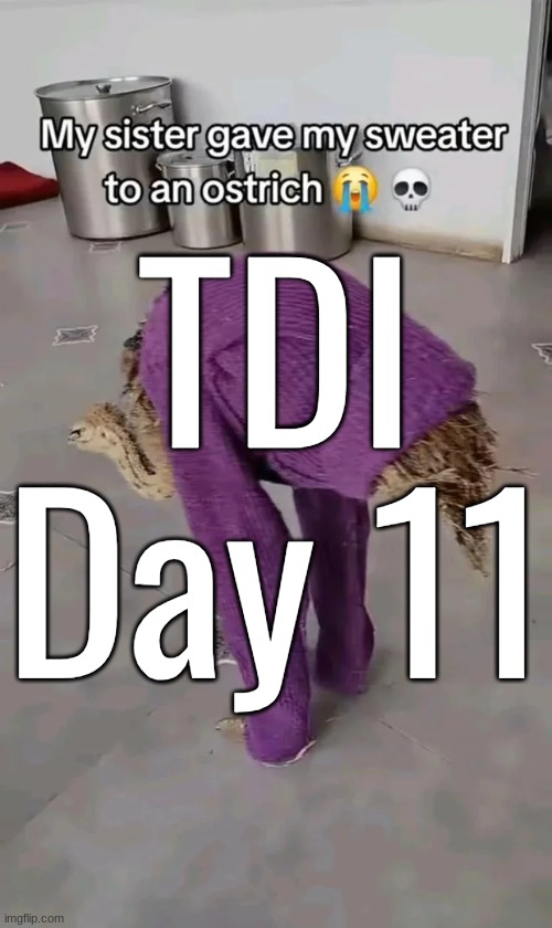 TDI Day 11 | made w/ Imgflip meme maker