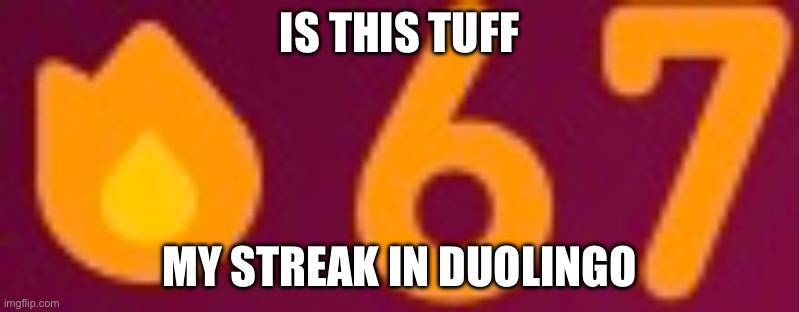 My steak in duolingo | IS THIS TUFF; MY STREAK IN DUOLINGO | image tagged in memes,67 | made w/ Imgflip meme maker