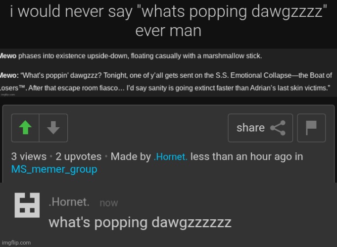 made w/ Imgflip meme maker