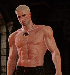 geralt the witcher 3 Blank Meme Template