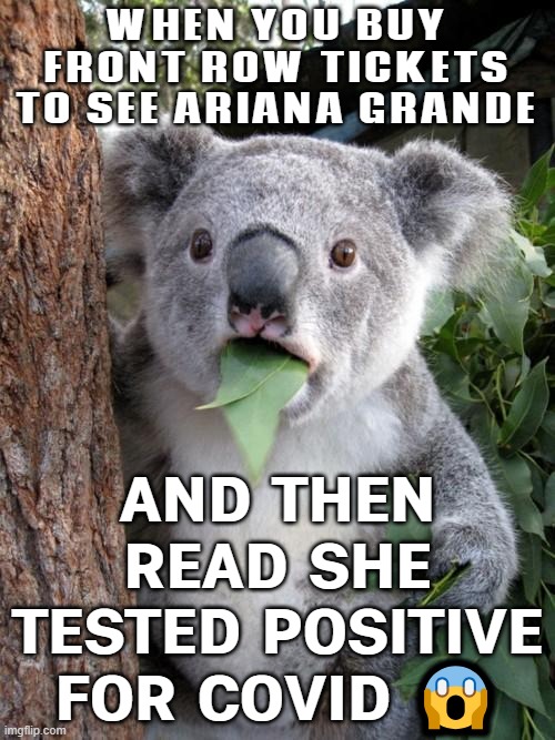 WHEN YOU BUY CONCERT TICKETS MONTHS IN ADVANCE TO SEE ARIANA GRANDE; AND SHE CANCELS BECAUSE SHE TESTED POSITIVE | WHEN YOU BUY FRONT ROW TICKETS TO SEE ARIANA GRANDE; AND THEN READ SHE TESTED POSITIVE FOR COVID 😱 | image tagged in memes,surprised koala,concert,ariana grande,covid-19,music | made w/ Imgflip meme maker