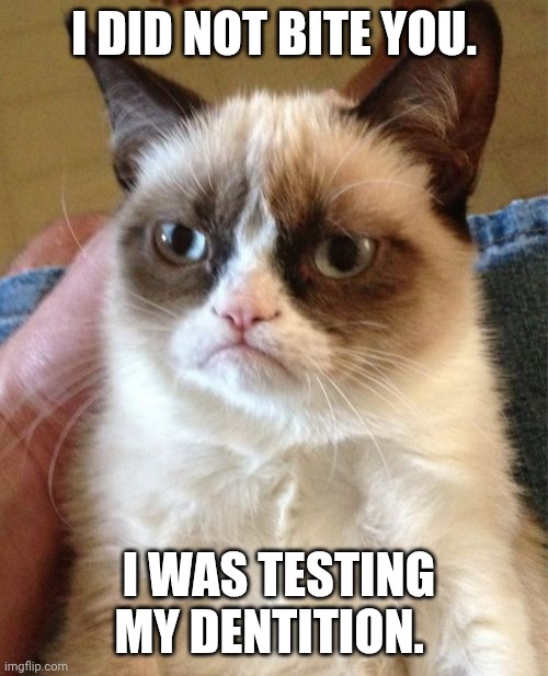 Dentition | I DID NOT BITE YOU. I WAS TESTING MY DENTITION. | image tagged in memes,grumpy cat | made w/ Imgflip meme maker