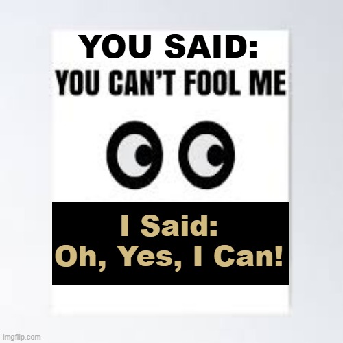 For Your Smug Liberal Friends | YOU SAID:; I Said:
Oh, Yes, I Can! | image tagged in true story,too easy,dumb people,leftists,it's just that they know so much that isn't so,ronald reagan | made w/ Imgflip meme maker