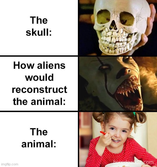Kid's skulls often terrify me | image tagged in the skull | made w/ Imgflip meme maker