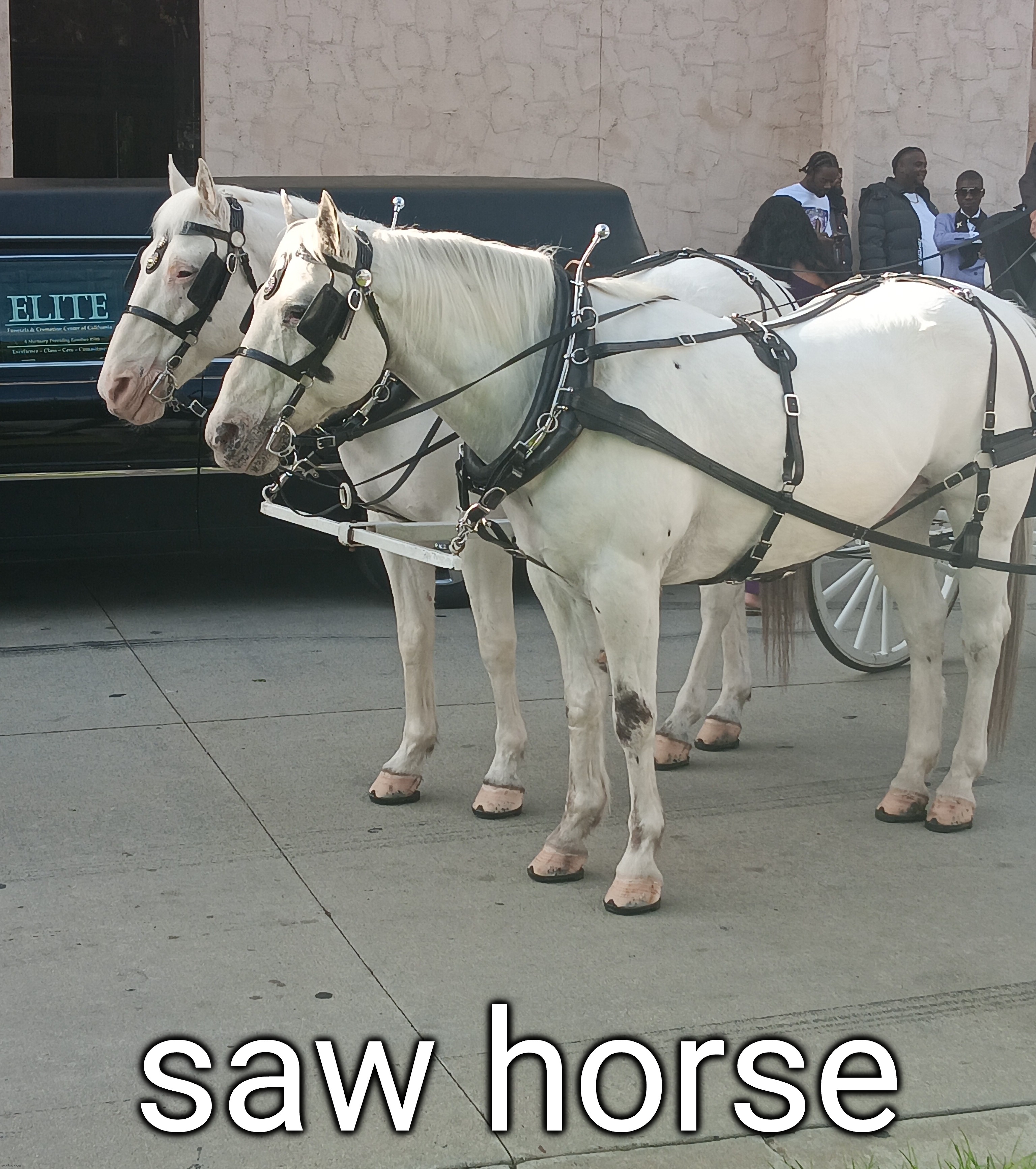 in real life | saw horse | made w/ Imgflip meme maker