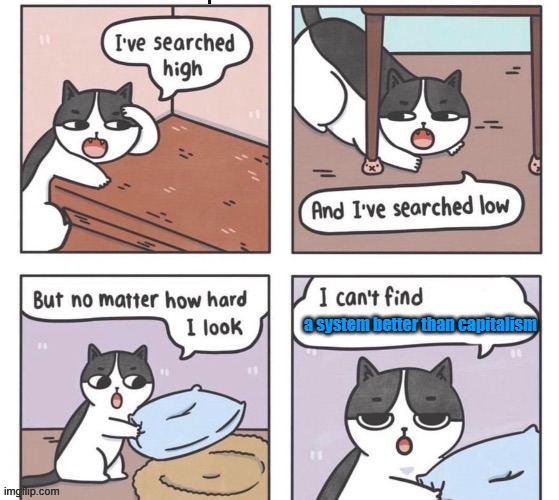 this is directed to critiques of capitalism | a system better than capitalism | image tagged in capitalism,cat,communism,marxism | made w/ Imgflip meme maker