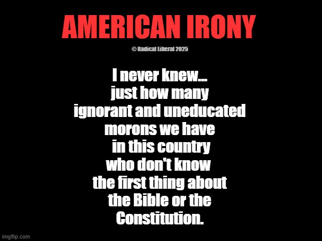 American Irony | AMERICAN IRONY; © Radical Liberal 2025; I never knew...
just how many
ignorant and uneducated
morons we have
 in this country
who don't know 
the first thing about
the Bible or the
Constitution. | image tagged in america,ignorant,uneducated,bible,constitution,irony | made w/ Imgflip meme maker