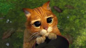 Pussy in boots tender Blank Meme Template