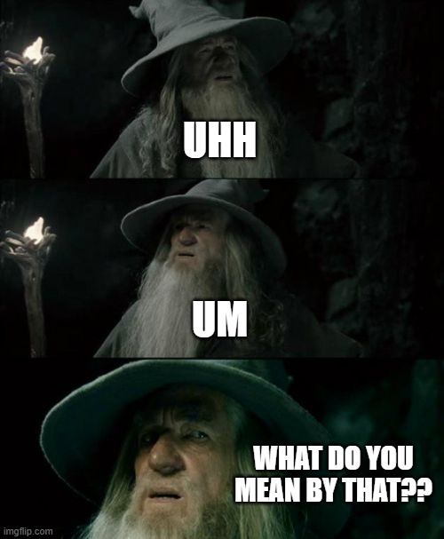 UHH UM WHAT DO YOU MEAN BY THAT?? | image tagged in memes,confused gandalf | made w/ Imgflip meme maker