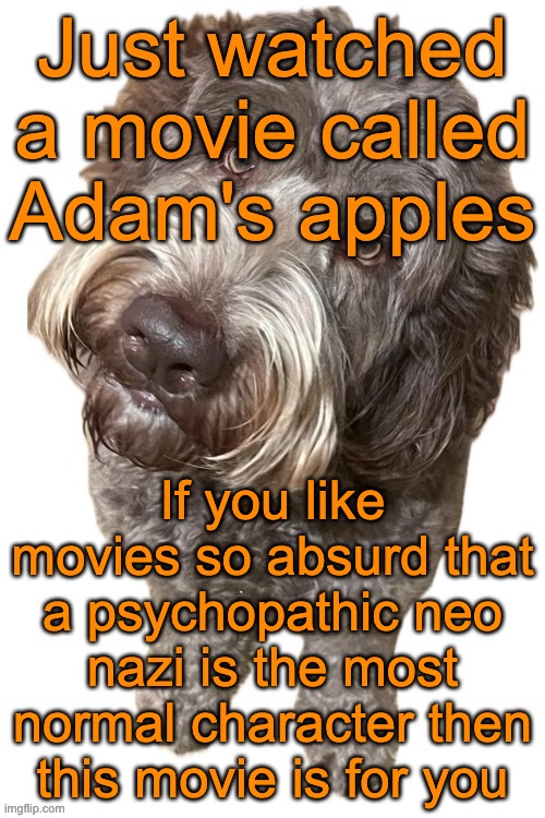 It also has a lot of dark humor and metaphors | Just watched a movie called Adam's apples; If you like movies so absurd that a psychopathic neo nazi is the most normal character then this movie is for you | image tagged in norther's dog | made w/ Imgflip meme maker