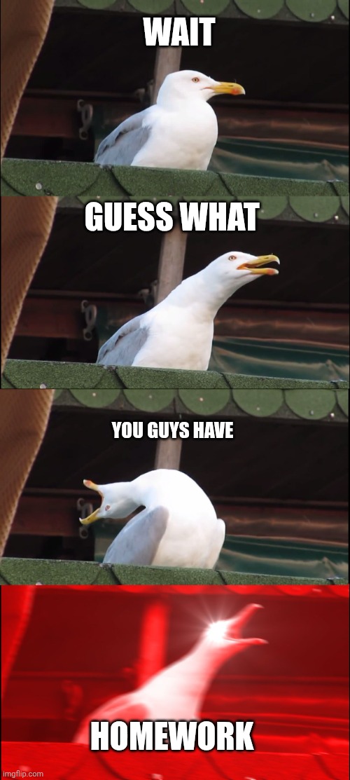 School be like | WAIT; GUESS WHAT; YOU GUYS HAVE; HOMEWORK | image tagged in memes,inhaling seagull,school | made w/ Imgflip meme maker