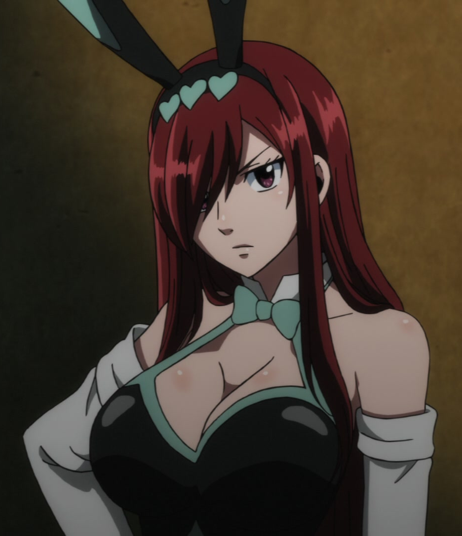 Erza scarlett Blank Meme Template