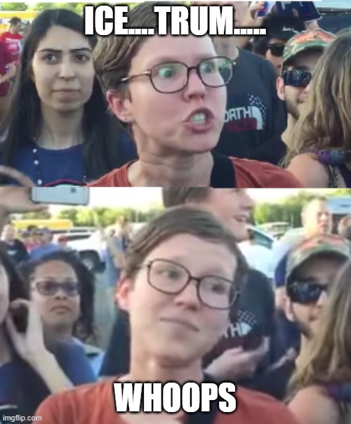 Two faced liberal snowflake | ICE....TRUM..... WHOOPS | image tagged in two faced liberal snowflake | made w/ Imgflip meme maker