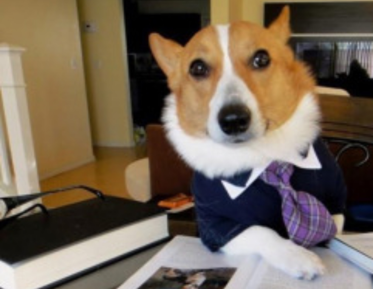 Baddie Blank Meme Template