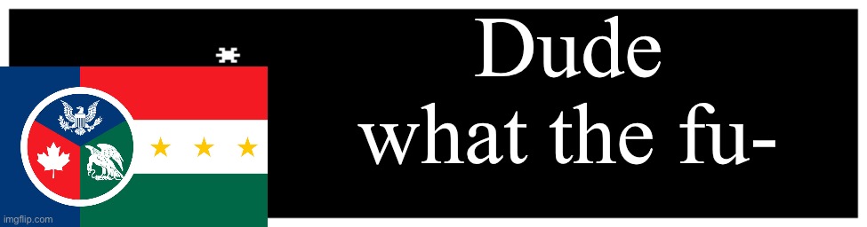 Undertale Text Box | Dude what the fu- | image tagged in undertale text box | made w/ Imgflip meme maker