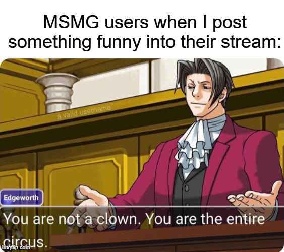 A circus, buddy! | MSMG users when I post something funny into their stream: | image tagged in you are not a clown you are the entire circus,memes,funny,fun,msmg,stop reading the tags | made w/ Imgflip meme maker