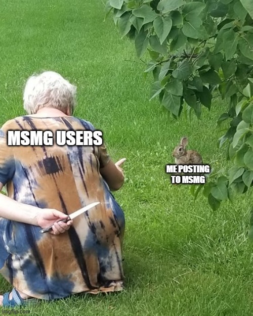 grandma hiding knife rabbit | MSMG USERS; ME POSTING TO MSMG | image tagged in grandma hiding knife rabbit,memes,funny,fun,msmg,stop reading the tags | made w/ Imgflip meme maker