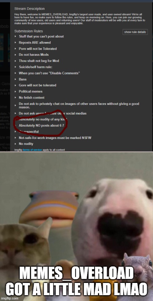 Dayum bro. | MEMES_OVERLOAD GOT A LITTLE MAD LMAO | image tagged in the council remastered,memes | made w/ Imgflip meme maker