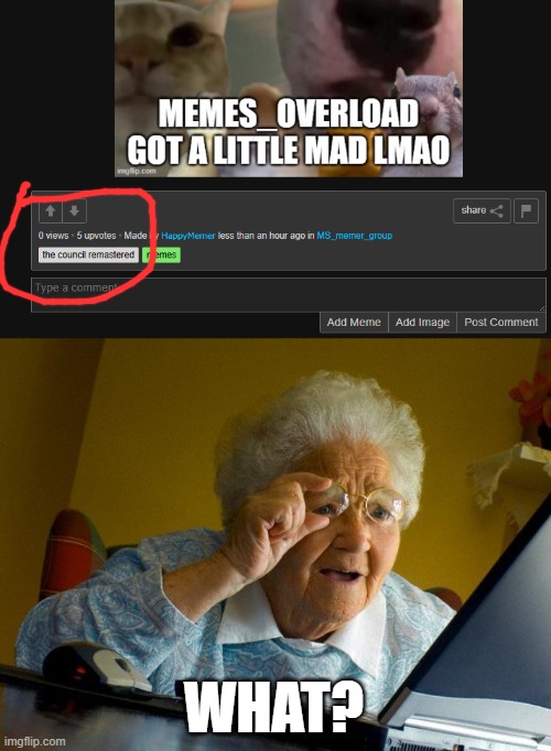 WHAT? | image tagged in memes,grandma finds the internet | made w/ Imgflip meme maker