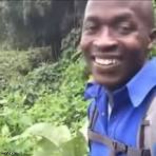 ok | image tagged in ok | made w/ Imgflip meme maker