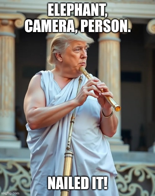 ELEPHANT, CAMERA, PERSON. NAILED IT! | image tagged in greatest flutest by his own admission | made w/ Imgflip meme maker