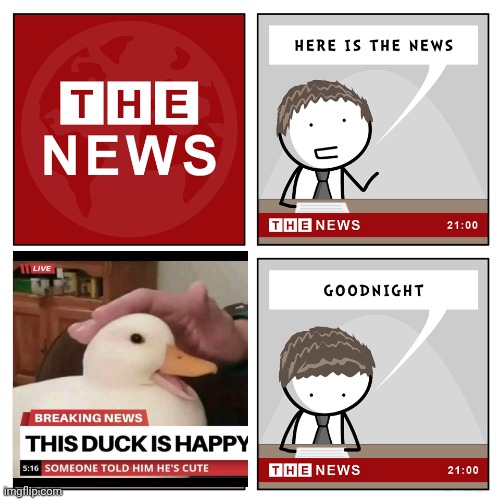 BREAKING NEWS | image tagged in the news,duck | made w/ Imgflip meme maker