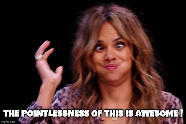 THE POINTLESSNESS OF THIS IS AWESOME ! | image tagged in boof | made w/ Imgflip meme maker