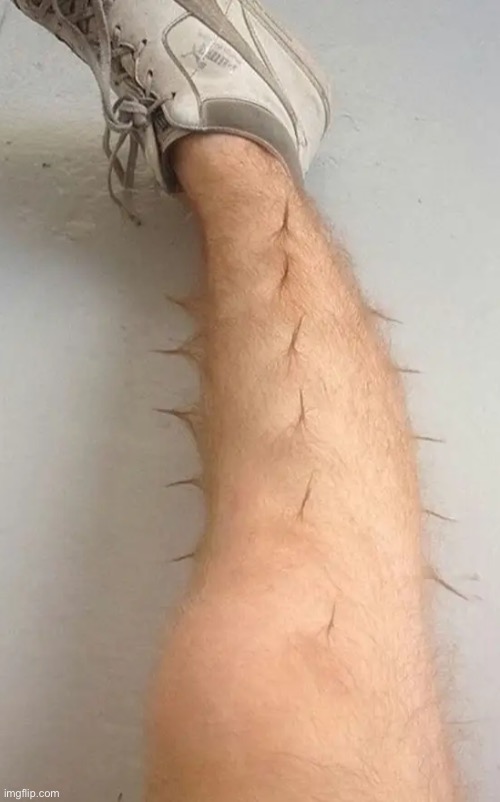 Ummm... Dafuq? | image tagged in hairy legs,excuse me what the frick,why can't you just be normal,creepy guy,cursed images,dude wtf | made w/ Imgflip meme maker