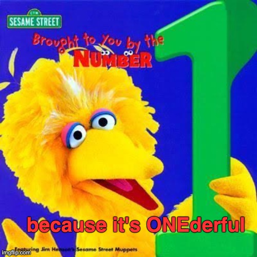 because it's ONEderful | made w/ Imgflip meme maker