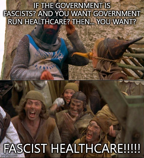 monty pythons mostly peaceful protest | IF THE GOVERNMENT IS FASCISTS? AND YOU WANT GOVERNMENT RUN HEALTHCARE? THEN... YOU WANT? FASCIST HEALTHCARE!!!!! | image tagged in burn the witch | made w/ Imgflip meme maker