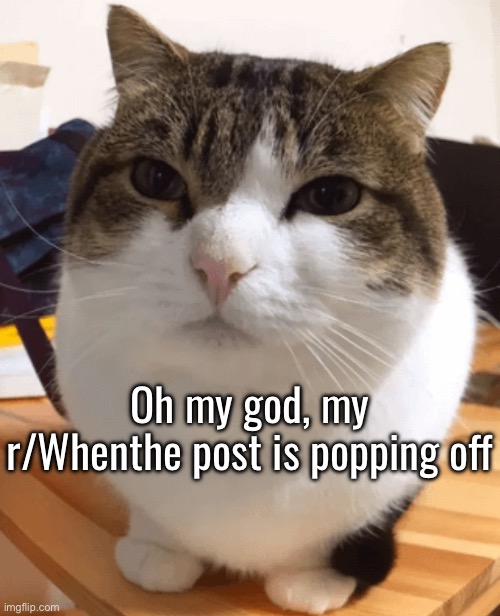 Did not expect that to do well | Oh my god, my r/Whenthe post is popping off | image tagged in oh the misery original | made w/ Imgflip meme maker