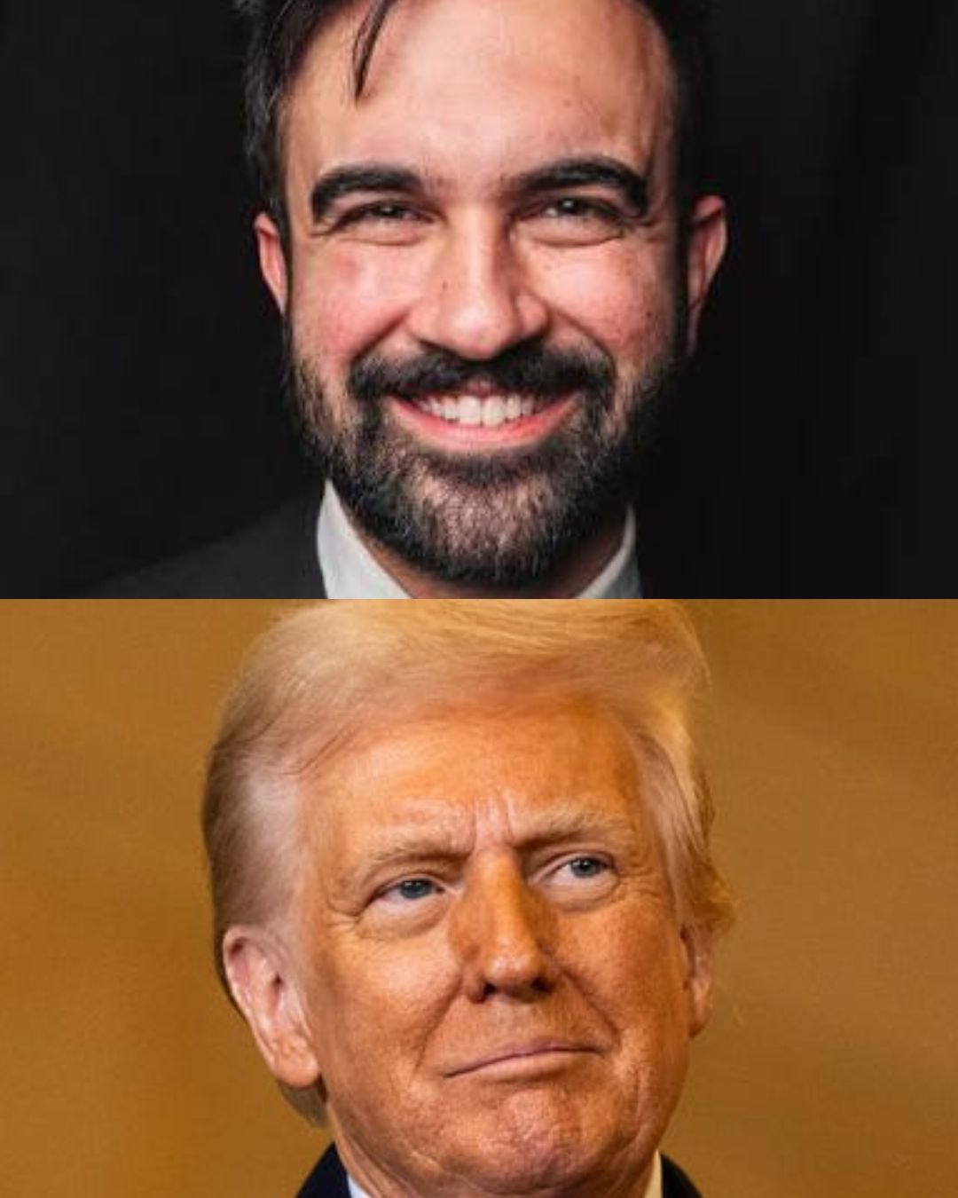 I'll write the theory, you do the praxis. Blank Meme Template