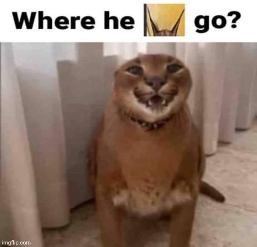 made w/ Imgflip meme maker