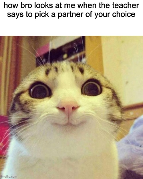 Smiling Cat | how bro looks at me when the teacher says to pick a partner of your choice | image tagged in memes,smiling cat | made w/ Imgflip meme maker