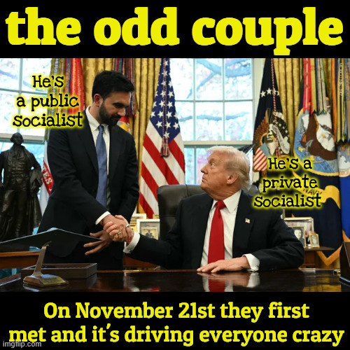 the odd couple | the odd couple; He's a public socialist; He's a private socialist; On November 21st they first met and it's driving everyone crazy | image tagged in the odd couple,zohran mamdani,donald trump,mamdani meets trump,oscar and felix,nyc mayor | made w/ Imgflip meme maker