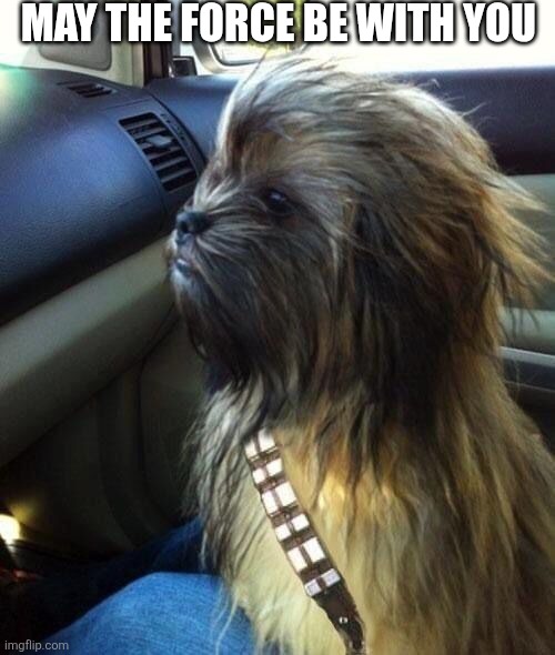 May The Force Be With You | MAY THE FORCE BE WITH YOU | image tagged in chrisjoines1 | made w/ Imgflip meme maker