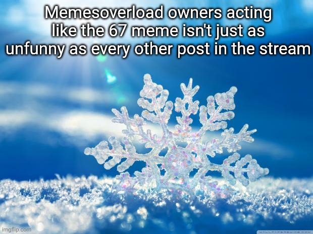 snowflake | Memesoverload owners acting like the 67 meme isn't just as unfunny as every other post in the stream | image tagged in snowflake | made w/ Imgflip meme maker