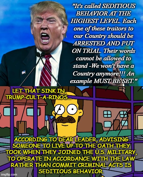 If you think Trump's not trying to Hitler the U.S.... | "It's called SEDITIOUS
BEHAVIOR AT THE
HIGHEST LEVEL. Each
one of these traitors to
our Country should be
ARRESTED AND PUT
ON TRIAL. Their words
cannot be allowed to
stand -We won't have a
Country anymore!!! An
example MUST BE SET."; LET THAT SINK IN,
TRUMP-CULT-A-RINOS... ACCORDING TO DEAR LEADER, ADVISING
SOMEONE TO LIVE UP TO THE OATH THEY
TOOK WHEN THEY JOINED THE U.S. MILITARY,
TO OPERATE IN ACCORDANCE WITH THE LAW
RATHER THAN COMMIT CRIMINAL ACTS IS
SEDITIOUS BEHAVIOR. | image tagged in trump unfit unqualified dangerous,hitler,wannabe | made w/ Imgflip meme maker
