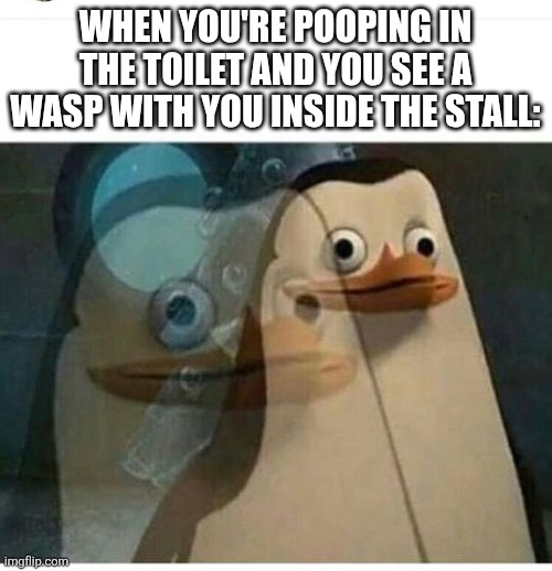There's nothing you can do about, unless you want your bare ass to be revealed in shit | WHEN YOU'RE POOPING IN THE TOILET AND YOU SEE A WASP WITH YOU INSIDE THE STALL: | image tagged in madagascar meme,wasp,toilet,oh god why | made w/ Imgflip meme maker