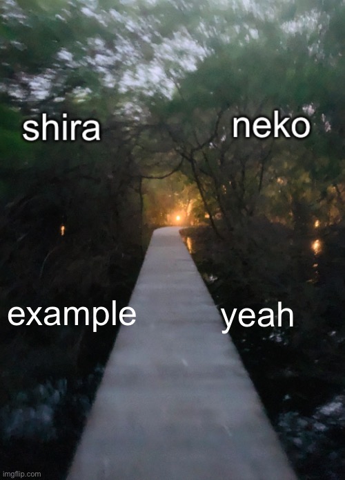 shira n neko shared temp | example; yeah | image tagged in shira n neko shared temp | made w/ Imgflip meme maker