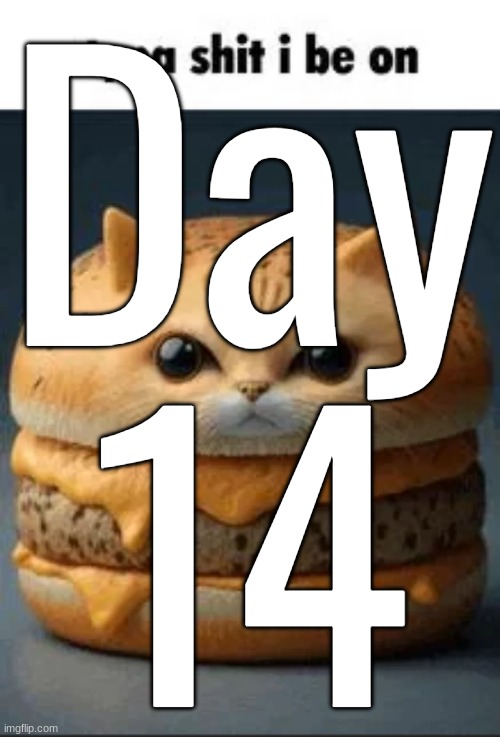 Day 14 | made w/ Imgflip meme maker