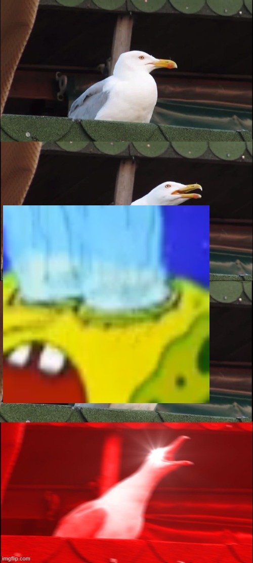 Yay im back in this stream im excited | image tagged in memes,inhaling seagull | made w/ Imgflip meme maker